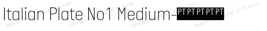 Italian Plate No1 Medium字体转换